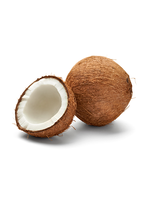 Coconut